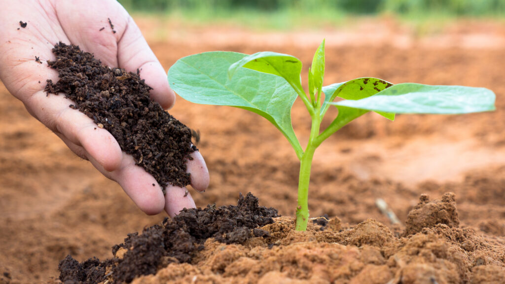 What is Vermicompost